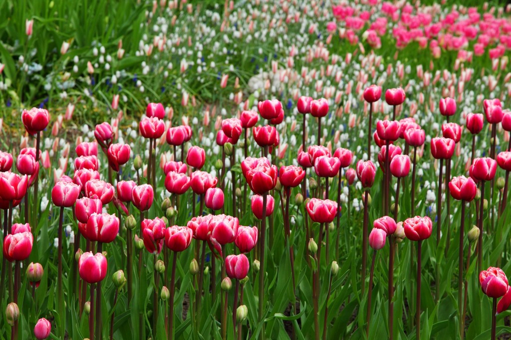 Jardines en Madrid