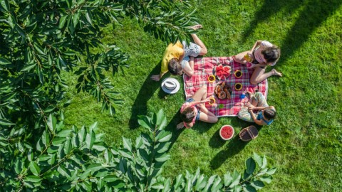 Los lugares más impresionantes para hacer un picnic en Madrid