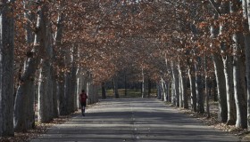 “Rutas saludables” de Madrid para practicar deporte