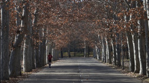 “Rutas saludables” de Madrid para practicar deporte