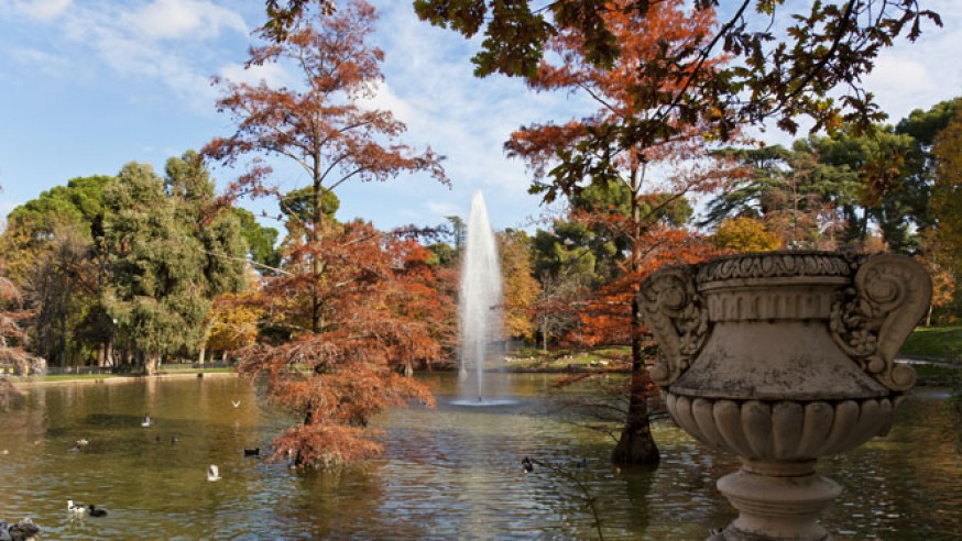 Otoño en Madrid: Un paseo por sus parques y bosques más bonitos.