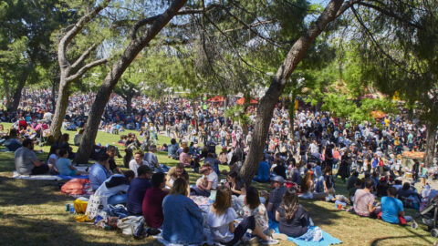 Fiestas de San Isidro 2023: programación e historia